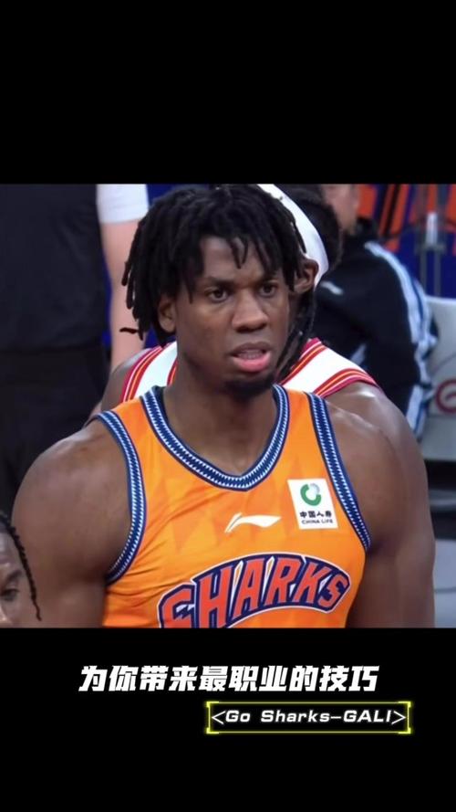 NBA历史上最强白人球员：谁才是那个改变游戏规则的“白大拿”？