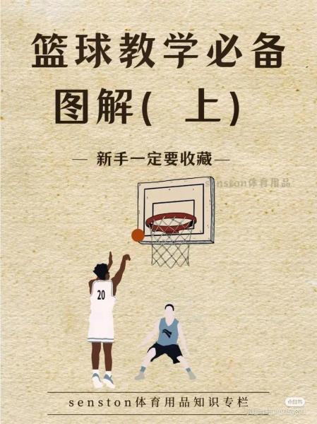 《NBA训练营教你如何打球：球场上的篮球英雄养成记》